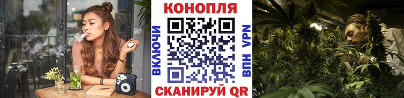 Конопля конопля  Купить закладки  Шарья 